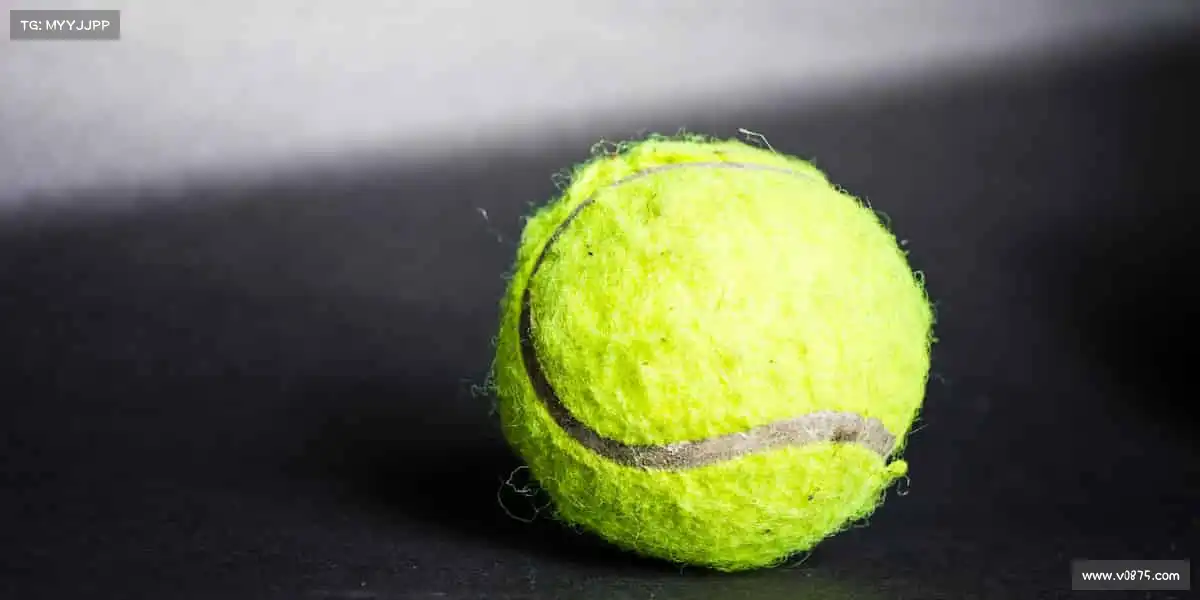 国产黑料吃瓜在线深耕影视行业沃土,让优质内容连接万千观众🤝